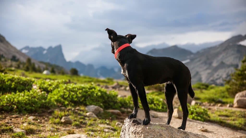 Blog Article Thumbnail