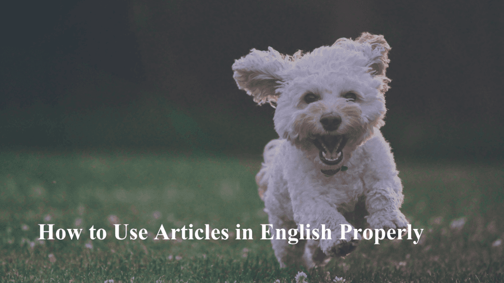 Blog Article Thumbnail