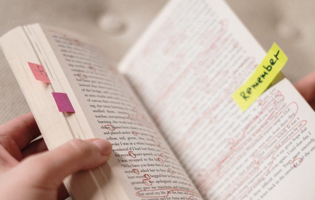 Blog Article Thumbnail