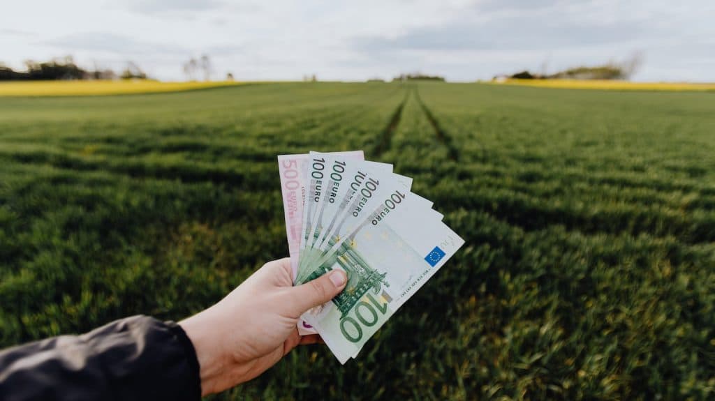 Blog Article Thumbnail